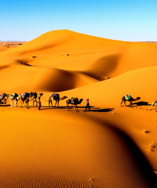 3 Days / 2 Nights tour from Marrakech to Fez Via the Desert