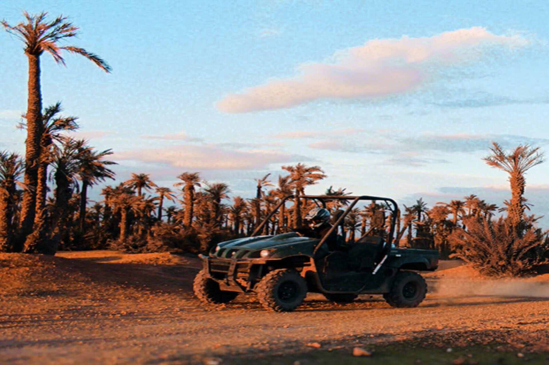 Buggy Drive in the Palm Groves