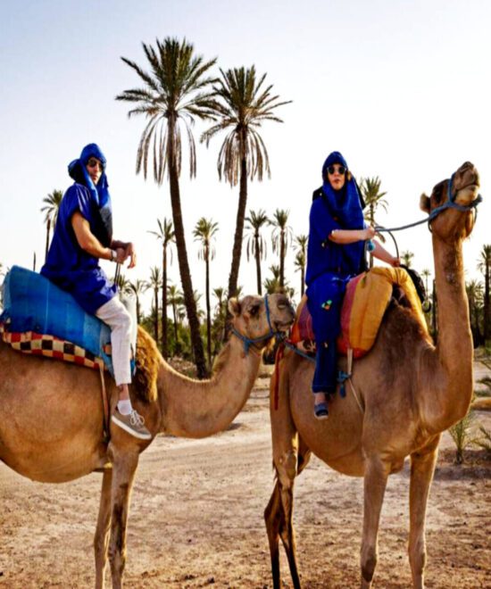 Camel Ride Trip in the Palm Groves