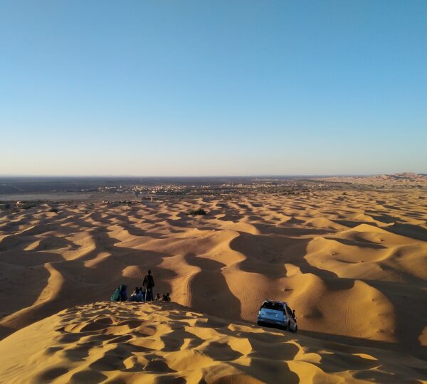 deserts