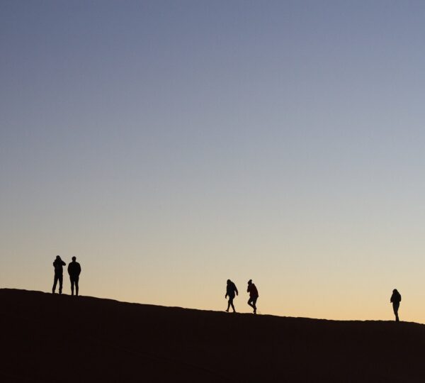 desert-night